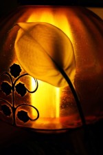 IMG_4297 IMG_4297