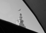 IMG_4425 IMG_4425