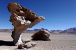 ::It looks like a tree but it’s a rock. Salar de Uyuni, Bolivia. Photo by Rosanna Van Straten.