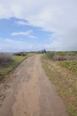 DSC_1635 DSC_1635