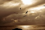 _DSC0390b _DSC0390b