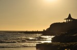 _DSC0737 _DSC0737