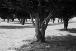 *FH000022 *FH000022