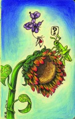 Illustration by Muriel Gordon.