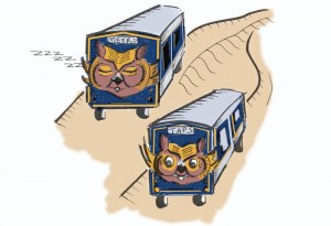 nightowlbuscolor