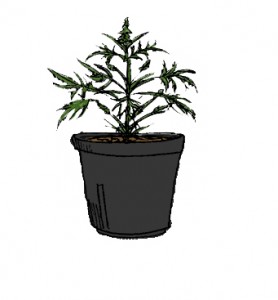 *WEB MJ small graphic